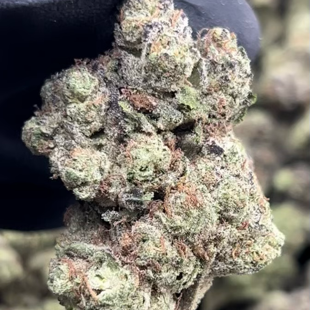 Push Pop 3.5g 28% THC