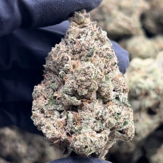 Wedding Cake 3.5g