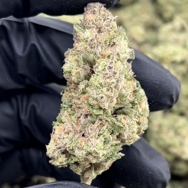 Gushlatti 3.5g