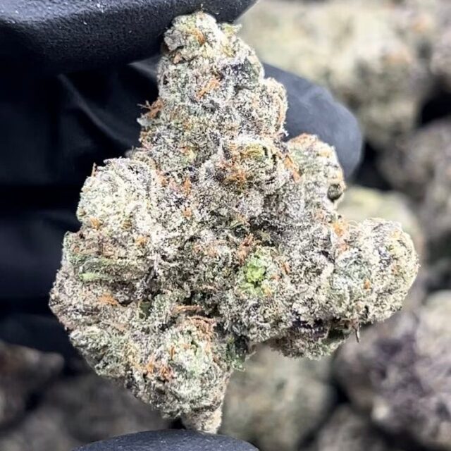 Galactic Warheadz 3.5g