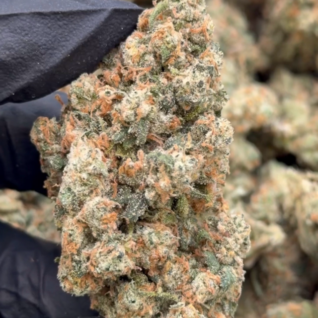 Jack Herer 1oz