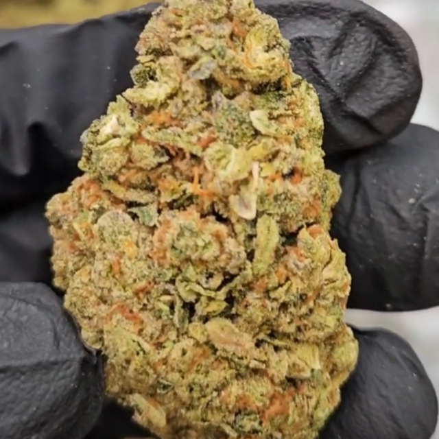 Jealousy 1oz